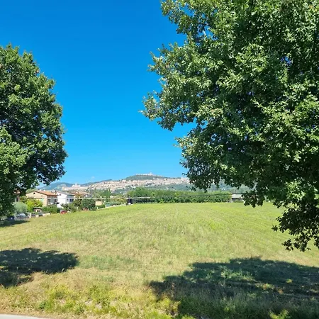 Eccociqua Assisi